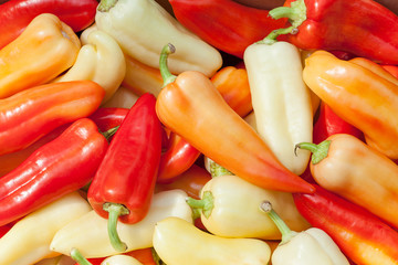 colorful mix of fresh paprika