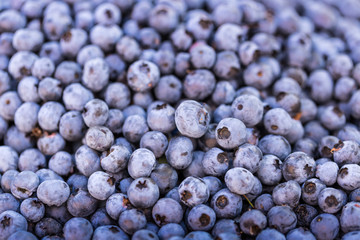 Fresh Bilberries. Close-up background.