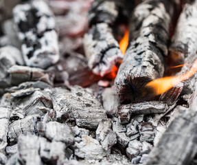Campfire with burning firewood on foreground closeup