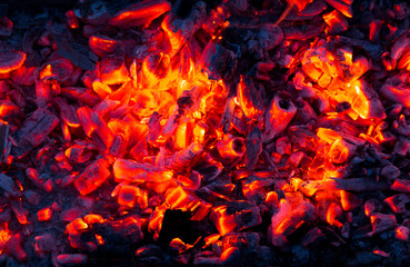Fototapeta na wymiar Campfire with burning firewood on foreground closeup