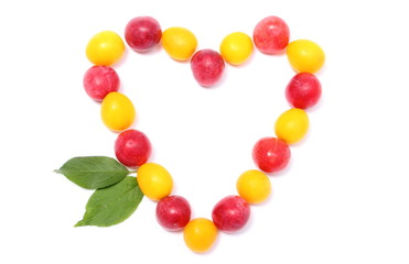 Heart of red and yellow mirabelle on white background