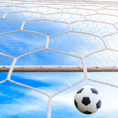 soccer ball may be in goal net