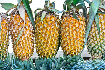 Pineapple Fruit Display For Sell On Small Street In Malwana