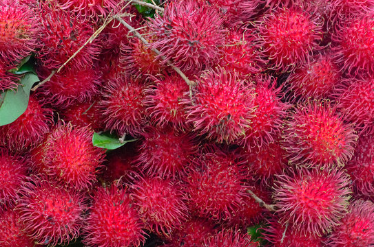 Rambutan Fruit Display For Sell On Small Street In Malwana