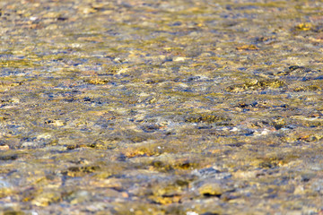 Stones in water Nature