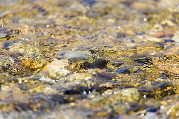 Stones in water Nature