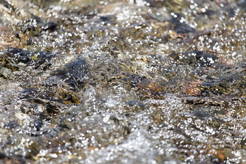 background of whitewater on the river