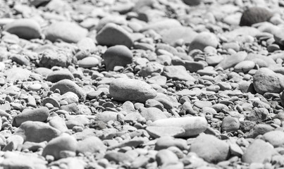 stones in nature as background