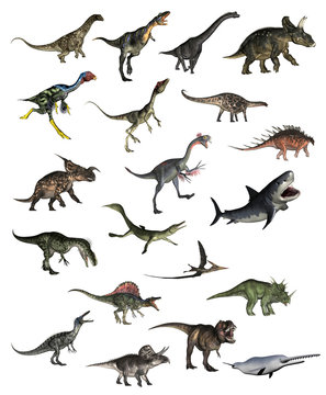 Set of dinosaurs - 3D render