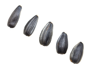 black seeds on a white background