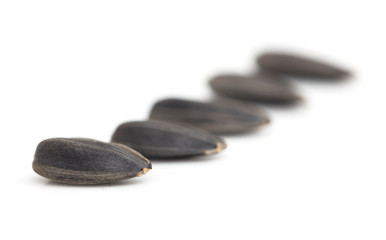 black seeds on a white background