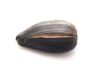 black seeds on a white background