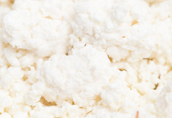 white curd as background. macro