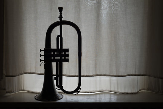 Silhouette Of Flugelhorn