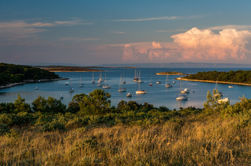 Naklejka premium The bay in Kamenjak