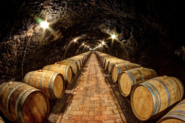 Obraz premium Winiarnia w Tokaju na Węgrzech