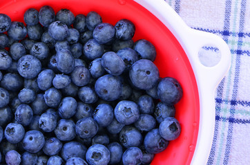 Fresh blueberries