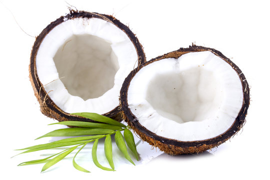Coconuts with leaves on a white