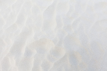 Fototapeta white sand background obraz