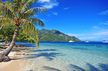 Turquoise waters off Moorea in Tahiti, French Polynesia - obrazy, fototapety, plakaty