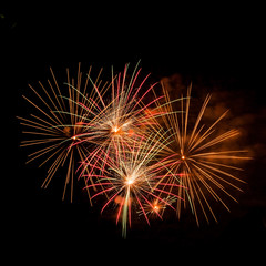 Fireworks on the black sky background.