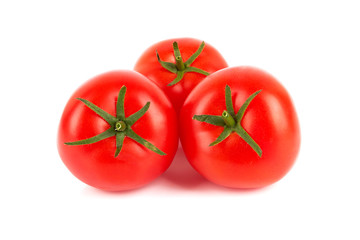 tomatoes