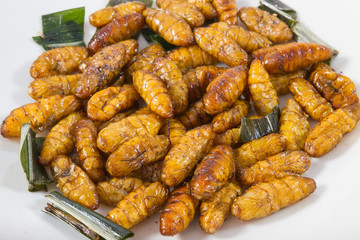 Fried insects. Protein rich food