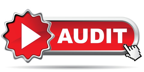 AUDIT ICON