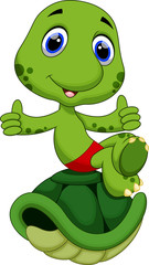 cute turtle sitting on top of the shell