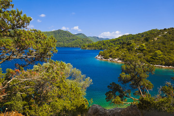 Obraz premium Lake at island Mljet in Croatia