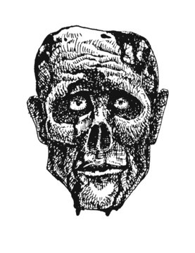 zombie head. hand drawn. vector eps8