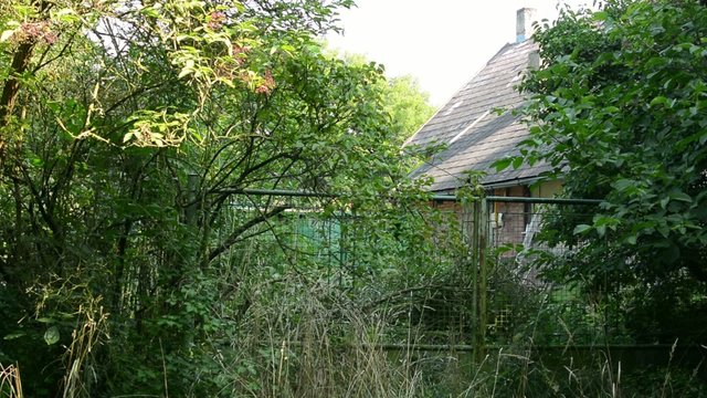 old cottage building - overgrown with nature (bushes, trees)