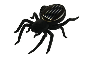 Black spider toy for kids