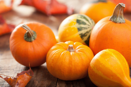 decorative mini pumpkins on wooden background