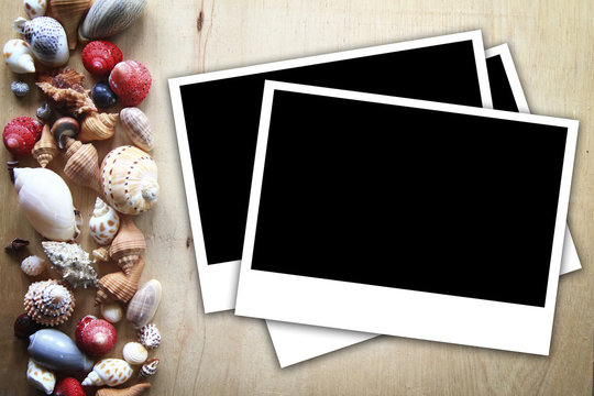  photo frames on the wooden background with seashells around