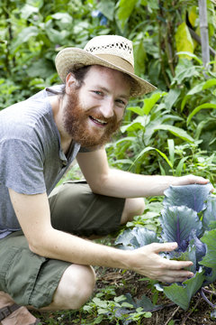 boy farmer who grows cabbage on vegetable garden with straw hat