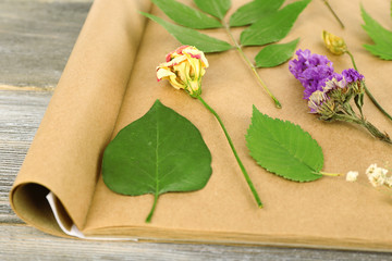 Obraz na płótnie Canvas Dry up plants on scrapbook on wooden background