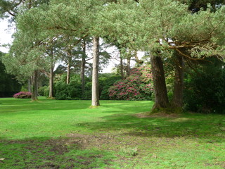 Parkanalage am Muckross House - Irland