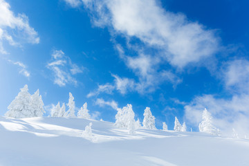 Naklejka premium 雪景色 樹氷