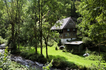 Fototapeta na wymiar einsames Bauernhaus im Schwarzwald