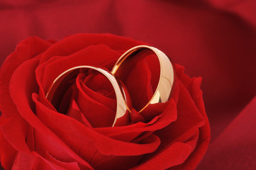 Zwei Ringe mit Rose