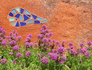 Crucianella Ping Pong devant muret avec mosaïque
