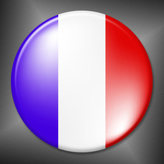 French Badge Shows Waving Flag And Badges