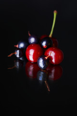 Black and red currants, cherries on black background