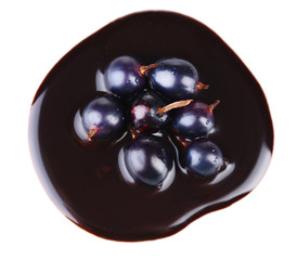 Berries  in chocolate sauce isolated on white