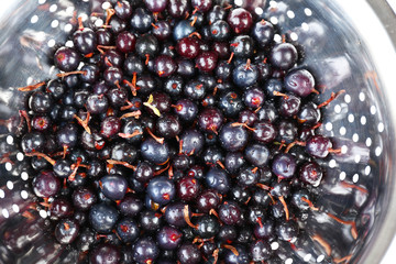 Black currants in colander, close-up
