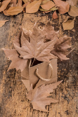shopping bag and dried leafs on wooden surface
