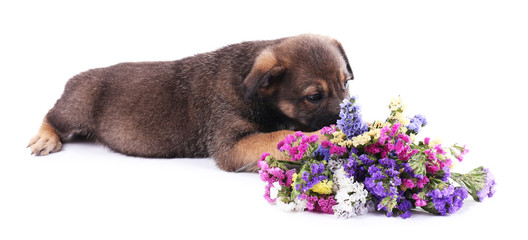 Puppy and bouquet of fresh flowers isolated on white