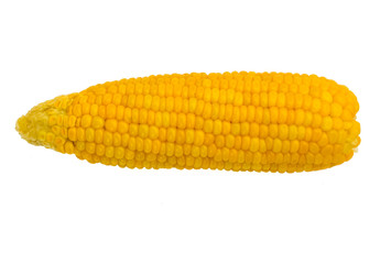 single corn on white background
