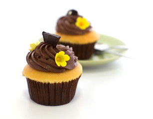 Chocolate cup cake